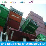 Professional Insurance Sea Freight to Brasil Service