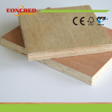 High Quality Boiling Water Resistant Plywood