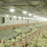 Poultry Equipment with Automatic and Manual Laying Nest