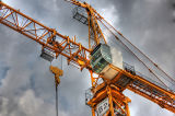 High Quality Construction Machinery Tower Crane Qtz63 (TC5013)