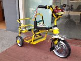 Baby Tricycles (7040)