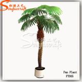 Factory Direct Made of Fiberglass Artificial Fan Palm Bonsai Tree