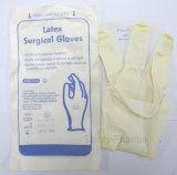 Latex Surgical Glove 8.5
