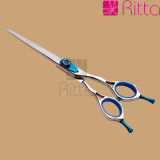 Sharp Hair Scissors/Hair Shear /Hairdressing Scissors (RS2003)