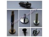 Special Bolt and Screw