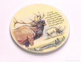 Ceramic Coasters, water absorb