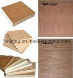 Bintangor Face Plywood for Furniture