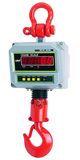 CS Series Electronic Crane Scale