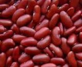 Red Kidney Beans (010)