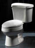 Two Piece Toilet (LHS-16A)