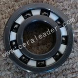 Ceramic Bearings