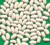 White Kidney Bean (Baihake Type) 