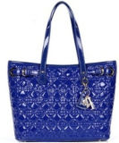 Ladies Handbag (JZ17019)