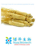 Fresh Panax Ginseng Root P. E. /High Quality Ginseng Root Extract 80% UV & HPLC