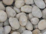 River Stone Cobble Stone