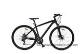 MTB Bike (29MTB1504)