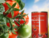 Canned Tomato Paste From China