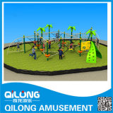 2014 Qilong Playground Outdoor Climbing Frames (QL14-134C)