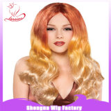 BSCI New Arrival Fashion Party Ombre Color Wig (SN0050)