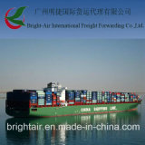 Container Shipping From China Guangzhou to Aqaba Jordan