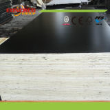 21mm Thickness Film Faced Plywood Popular Sale