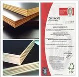 Egypt Market One Time Hot Press Film Faced Plywood