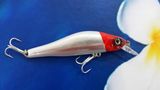 Plastic Lure