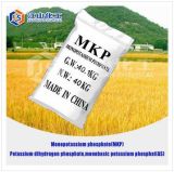 Best Price MKP, Monopotassium Phosphate Fertilizer with High Quality and Have Passed ISO 9001