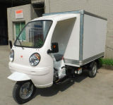 Adults Motorized Cargo Tricycle Scooter