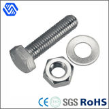 Hex Bolt with Hex Nut and Flat Washer