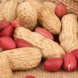 Factory Price Blanched Peanut From China