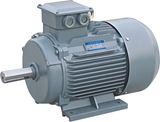 Y2-132m-4 10HP 7.5kw Electric Motor