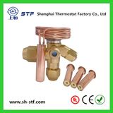 Sm (E) Exchangeable Orifice Expansion Valve