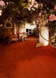 Clay Tile Red Color (BG3110)
