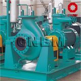 API 610 Heavy Duty Petrochemical Processing Pump