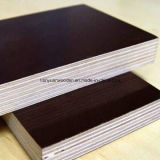 Brown Film Faced Plywood for Concrete Shuttering