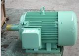 30kw 1000rpm 50Hz Permanent Magnet Alternator