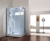 Combination Steam Sauna Room (BA-Z619)