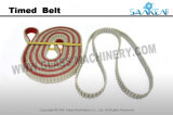 Timed Belt