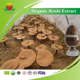 Organic Reishi Extract