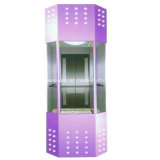 Panoramic Glass Elevator with Beautiful Design