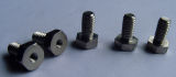 Hexagonal Ground Screw Home Appliance Screws and Fasteners (HT1310)