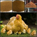 Chicken Meal Powder (Meat And Bone Meal)