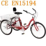 En15194 Electric Tricycle Cargo (SL-010)