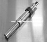 Customized Stainless Steel Electric Rotor Shaft for Motor
