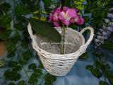 White Flower Basket (WFB006)
