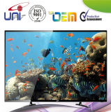 2015 Uni OEM LED Display Good Internet Smart TV