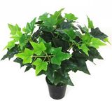 Yy-0878 Eco-Friendly Artificial Fern Evergreen 12 Branch 108 Leaves