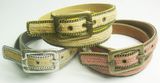 Fashion Belt (JBW043)