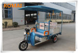 2013 New Model! 48V 850W Truck Cargo Tricycle with 24tubes Controller (LM-S081)